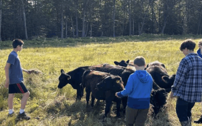 The Barnestead Banner issue 50 September 2025