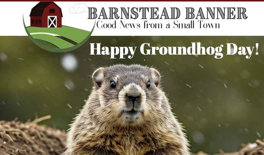 The Barnestead Banner issue 56 February 2026