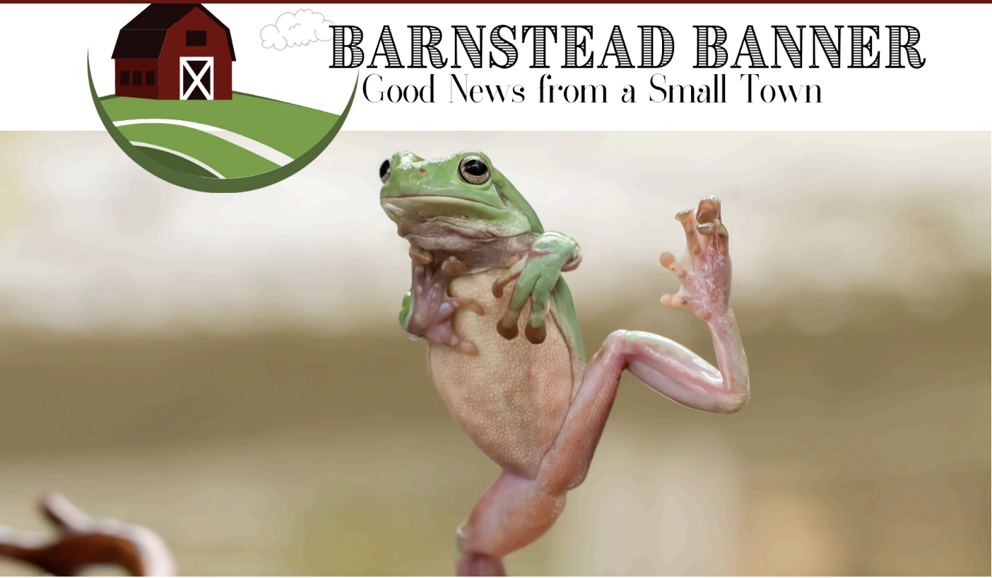 The Barnestead Banner issue 61 July 2026